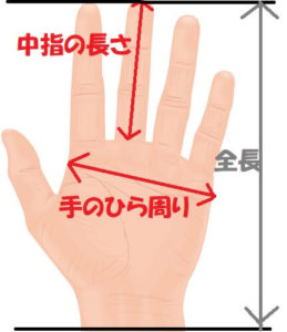 手のサイズ測り方